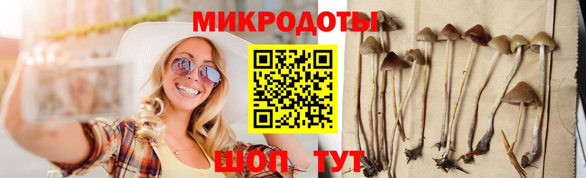 Галлюциногенные грибы GOLDEN TEACHER Мирный